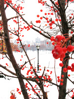 Central Park Holiday homeprint